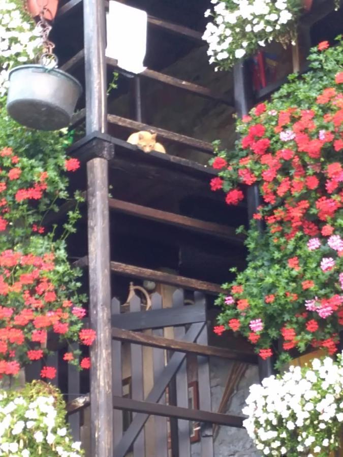 B&B "La Baita Delle Coccinelle" Varallo Buitenkant foto