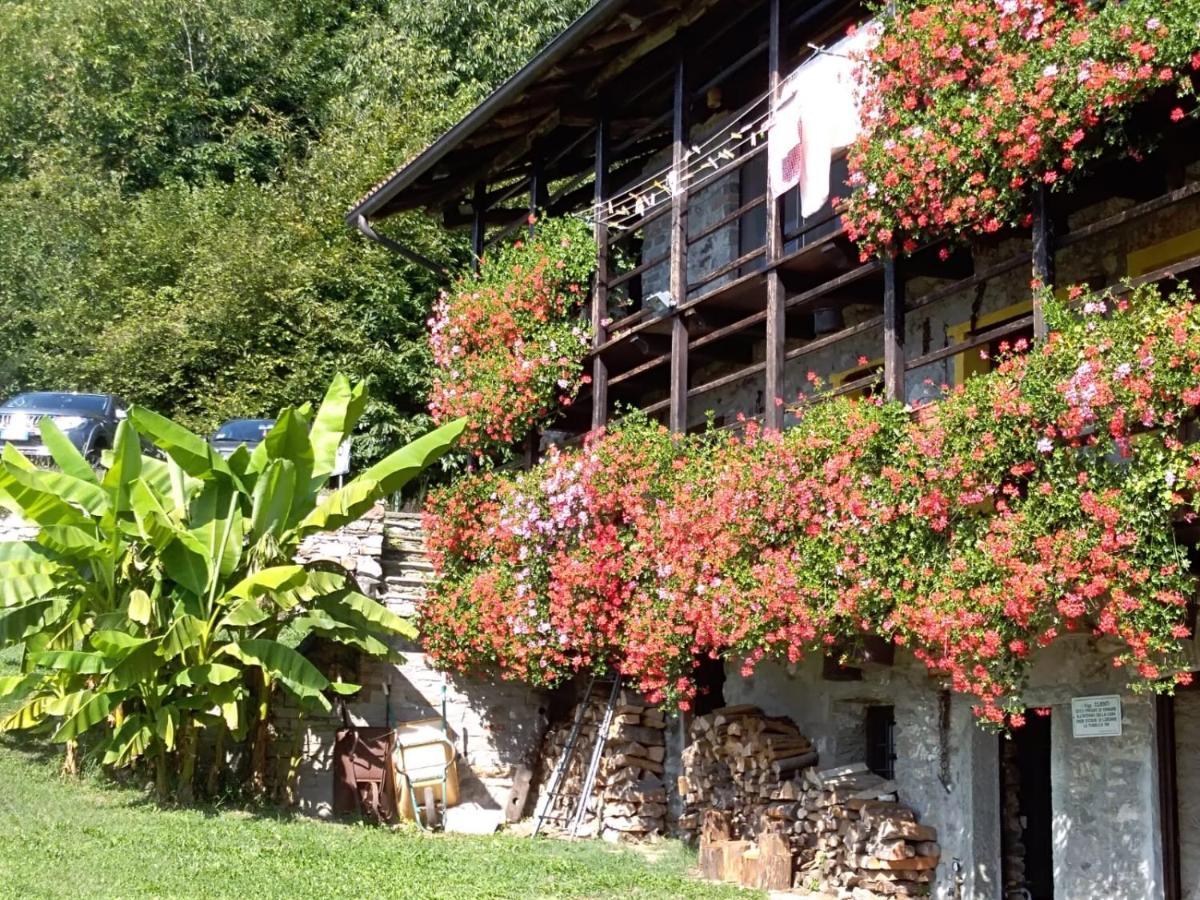 B&B "La Baita Delle Coccinelle" Varallo Buitenkant foto